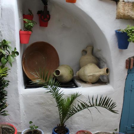 Vivienda Turistica De Alojamiento Rural Silla Vieja Vejer de la Frontera Bagian luar foto