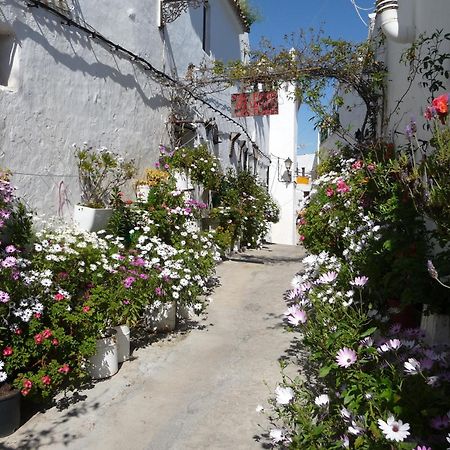 Vivienda Turistica De Alojamiento Rural Silla Vieja Vejer de la Frontera Bagian luar foto