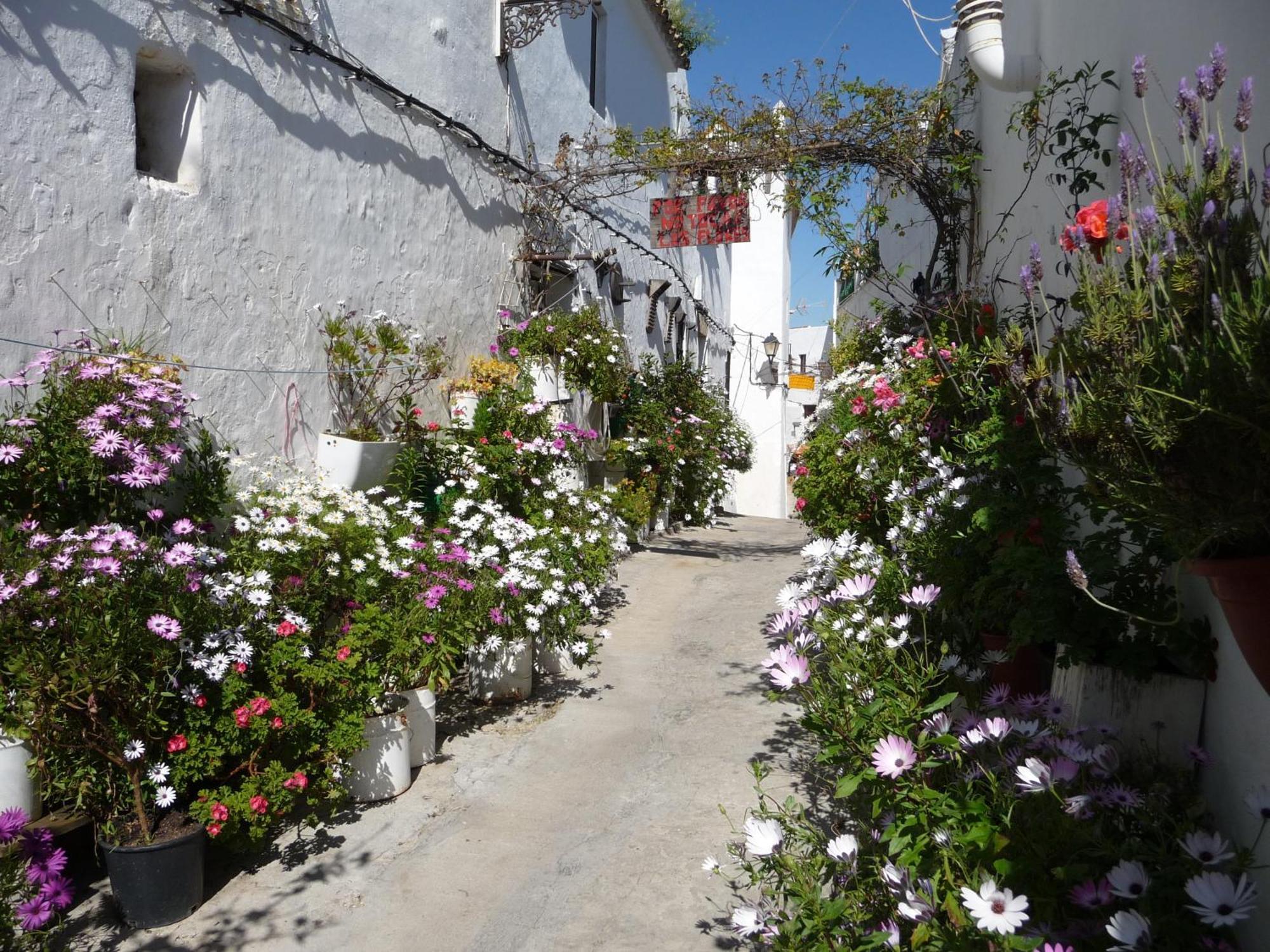 Vivienda Turistica De Alojamiento Rural Silla Vieja Vejer de la Frontera Bagian luar foto