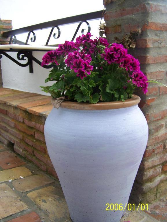 Vivienda Turistica De Alojamiento Rural Silla Vieja Vejer de la Frontera Bagian luar foto